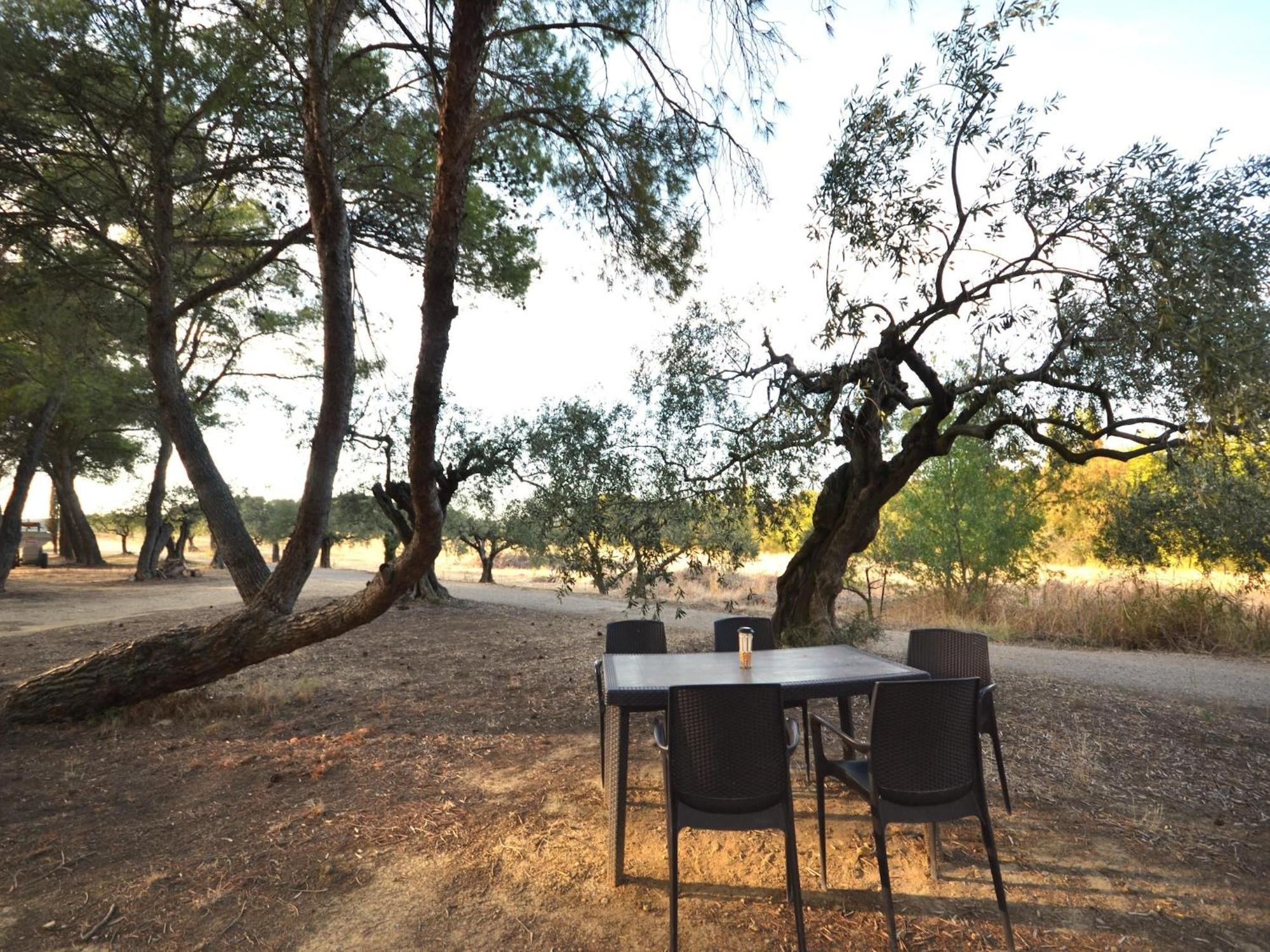 Apartment With Pool Amid Vineyards And Near The Beach เมซ ภายนอก รูปภาพ